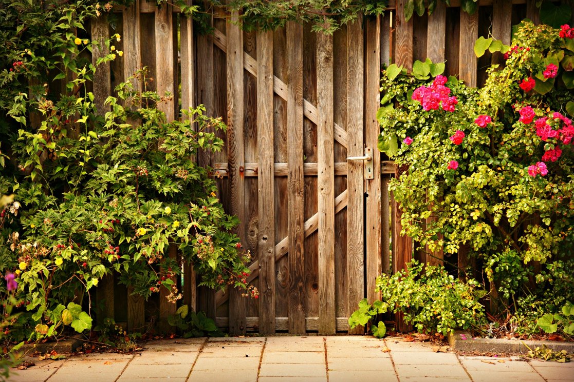 wooden-door-3652660_1920